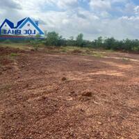 Bán đất XD xưởng 18.300m2  Tam Phước Biên Hòa Đồng Nai giá 73 tỷ
