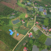 Chính Chủ Nhờ Bán 3.069M2 Giá 2.X Tỷ Cách Wyndham Thanh Thuỷ 6.5Km