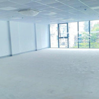 Cho Thuê Nhà Mặt Phố Quang Trung Đoạn Diện Tích 160Mx7Tmặt Tiền8M Giá Chỉ 120 Triệu Có Hầm Thông Sàn Pccc