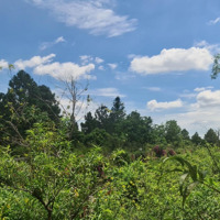 Cơ Hội Đầu Tư Siêu Lời The Phoenix Garden Đan Phượng! Chỉ Từ 8X Triệu/M Sở Hữu Ngay Lô Đất