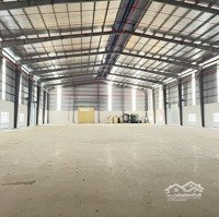 Cho Thuê Kho 1200M2 Có Phòng Cháy Chữa Cháy Tự Động Tại Điện Bàn