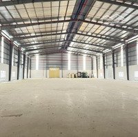 Cho Thuê Kho 1200M2 Có Phòng Cháy Chữa Cháy Tự Động Tại Điện Bàn