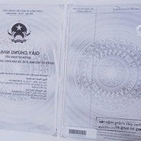 " Bán Đất Đẹp Ấp 5, Bàu Đồn, Gò Dầu, Tây Ninh Diện Tích: 15M X 30M