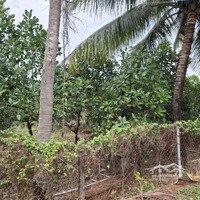 " Bán Đất Đẹp Ấp 5, Bàu Đồn, Gò Dầu, Tây Ninh Diện Tích: 15M X 30M