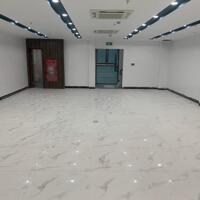 Cho thuê toà văn vp nguyên căn có PCCC KĐT Nam Trung Yên. DT 100m x 8 nổi 1 hầm, mt 8m. Giá 110tr