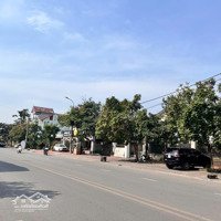 Cc Bán Lô 300M2 Đối Diện Green Dragon City Cẩm Phả, Pháp Lý Chuẩn, Kd Cực Đỉnh, Giá Ưu Đãi