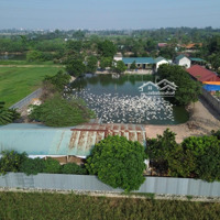 Chính Chủ Em Bán Gần 8 Sào Đất Trang Trại Tại Cấn Hữu, Quốc Oai Sẵn Nhà Ao Điện Nước Sạch Ô Tô Vào
