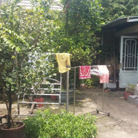 Bán Nhà Số 21A Đường Bình Trưng, Phường Bình Trưng Tây, Quận 2, Thành Phố Thủ Đức, Tphcm