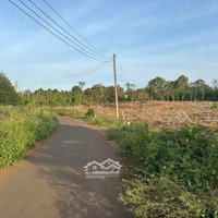 Cơ Hội Sở Hữu Đất Vàng Tại Láng Lớn, Châu Đức, Brvt - Giá Cực Hấp Dẫn!