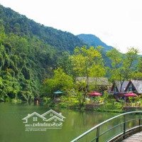 Mở Bán Lô Đất Nghỉ Dưỡng Nhìn Sang Kdl Bản Cốc, Giáp Ranh Với Kdl Madela Ba Vì, Giáp Với Suối Cái