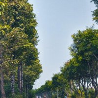 Bán Đất Trung Lập Thượng. Giá Tốt Để Đầu Tư