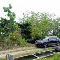 Bán Đất Trung Lập Thượng. Giá Tốt Để Đầu Tư