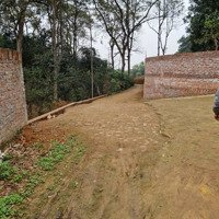 Cần Bán Lô Đất Tại Xã Tiên Phương Chương Mỹ Hà Nội Diện Tích 510M2