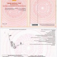 Bán Gấp Hàng Thanh Lý Từ Cđt Với Giá Suất Ngoại Giao, 1 Phòng Ngủ1T65 , 2 Phòng Ngủ2T55 Có Sổ Tt 20%Nhận Nhà Ngay