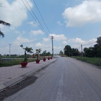Đất Nền Tại Trung Tâm Thị Trấn Đức Hòa, Long An.