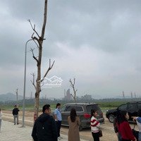 Sắp Ra Mắt Khu Đô Thị Trung Tâm Phố Chợ Thị Xã Hoàng Mai