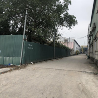 Thửa Đất Siêu Đẹp Ô Tô Tránh Vỉa Hè - Sổ Phân Lô - Gần Đường Đôi Lại Yên