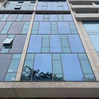 Cho Thuê Nhà Nguyễn Quốc Trị, Cầu Giấy 120M2, 8 Tầng. 1 Hầm,Mặt Tiền8M, Thông Sàn, Có Thang Máy, Đh, Nl