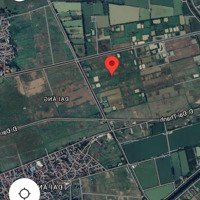 Bán Đất Nông Nghiệp, Thửa 600M2 Và 1970M2 Tại Vĩnh Trung, Đại Áng, Thanh Trì, Hà Nội