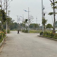 Bán Đất Nhà Vườn Siêu Rẻ Diamondpark, Hạ Tầng Đã Hoàn Thiện, Giá Tốt 27. 5 Triệu/M2, Liên Hệ: 0981935999