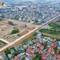 Đất Đấu Giá Mặt Đường 42M Trục Chính Thị Xã Mỹ Hào Hưng Yên Giá 89 Triệu/M2
