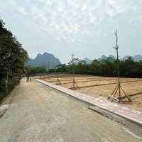 E Chính Chủ Bán Toàn Lô Đẹp Sinh Lời Cao