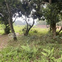 Bán Đất Tại Xã Hòa Sơn, Lương Sơn, Hòa Bình, 3,5 Triệu / M2, 3200 M2 Giá Tốt