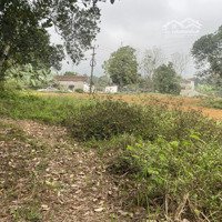 Bán Đất Tại Xã Hòa Sơn, Lương Sơn, Hòa Bình, 3,5 Triệu / M2, 3200 M2 Giá Tốt