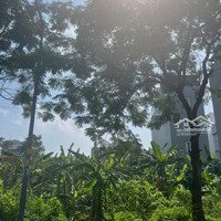 Bán Đất Nền Dự Án Có Sổ Kdc Khang Điền Bình Chánh