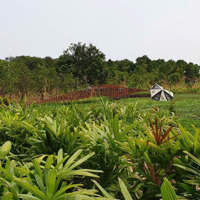 Bán Lô Đất Giáp Mặt Hồ Trị An, Đ.quán 1181M2, Gần Ql 20, Xung Quanh Đã Xây Nhiều Biệt Thự, Homestay