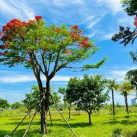 Bán Lô Góc 2 Mặt Tiền View Công Viên Fpt Đà Nẵng 2025
