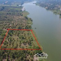 Siêu Đẹp, 3830M2 Bám Mặt Hồ Lớn Mát Mẻ View Đẹp 580 Triệu