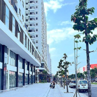 Shophouse Kinh Doanh Mặt Tiền Đường 19/5 Ct3 Vĩnh Điềm Trung - Chỉ 7 Tỷ