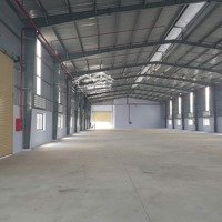 Chính Chủ Bán Nhà Xưởng Tại Kcn Đức Hòa 3 Cho Khách Có Nhu Cầu Mua Đầu Tư Cho Thuê