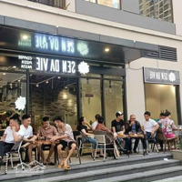 Bán Quỹ Căn Shop Dưới Chân Tòa Cc Tại Vinhomes Smart City, Giá Từ 6Tỷ Lợi Nhuận Thuê Tới 100 Triệu/Th