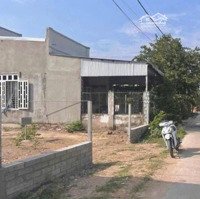 Đất Nền 900 Triệu Mặt Tiền Đường 8M Rộng 100M2 Ở Xã An Tây, Thành Phố Bến Cát, Bình Dương - Shr