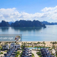 Cắt Lỗ Còn 6,X Tỷ Sở Hữu Ngay Căn Bt Mặt Biển Vip Nhất Miền Bắc