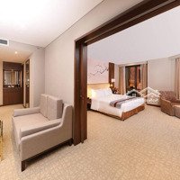 Hàng Ngộp Đầu Tư - Mặt Tiền Phạm Ngọc Thạch, Quận 3 -Diện Tích11 X 23M 5 Tầng Hđt 400 Triệu - Giá Bán 100 Tỷ