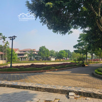 Cần Cho Thuê Gấp Biệt Thự Mặt Hồ An Hưng - Dương Nội Để Kinh Doanh Hoặc Trường Mầm Non