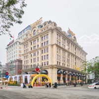 Cho Thuê Văn Phòng Tại Đống Đa. Toà Nhà Hạng A Thaisquare Caliria Mớidiện Tíchtừ 100M2 - 6000M2 (5 Sàn)