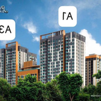 Penthouse Delasol Mua Trực Tiếp Cđt. Ck Ngay 30%. Đơn Giá Chỉ 85 Triệuiệu- 89 Triệuiệu/M2 Đã Gồm Vat & Pbt.
