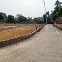 Chính Chủ Bán Đất Hòa Thạch, Quốc Oai Đầy Đủ Pháp Lý, Vị Trí Cực Đẹp, Diện Tích: 166M2, Chỉ 14.5 Triệu/M2