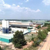 Bán Lô Góc 2 Mặt Tiền 6X35=319,6M2 Trung Tâm Chợ Công Nghiệp 330 Triệu