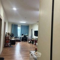 Xin Mời Ace Chia Hoa Cùng Đc!! Bán Chung Cư Booyoung, Mỗ Lao Hà Đông, 107M2 3 Phòng Ngủ6.95 Tỷ, Mới