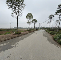 Bán Mảnh Đất 48.8M2 Nằm Trung Tâm Của Vin. Đc: Trung Thôn - Đông Hội
