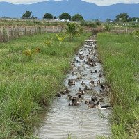 797M2 Cln Ngay Đường Dân Sinh Kết Nối Nút Xuống Cao Tốc Phan Thiết Chỉ 5Xx Tr