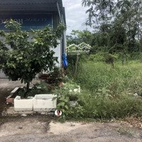 Chính Chủ Đang Cần Bán Gấp 1500M2 Đất Trồng Lúa Đã Lên Nền Gần Chợ Bình Ân, Gò Công Đông