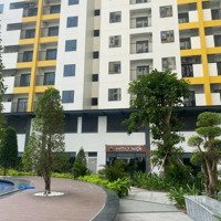 Căn Hộ An Phú, Giá Bán 1,29 Tỷ, 60M2, 2 Phòng Ngủ+ 1 Vệ Sinh+ Bếp, Giá Siêu Hời