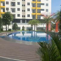 Căn Hộ An Phú, Giá Bán 1,29 Tỷ, 60M2, 2 Phòng Ngủ+ 1 Vệ Sinh+ Bếp, Giá Siêu Hời
