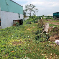 Hàng Ngộp Đức Hòa Hạ 120M2 Đất Thổ Đ. Tám Bình Gần Chợ Đồn Cây Dương Ngay Kcn Đức Hòa